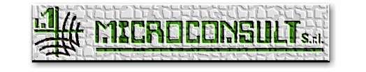 Microconsult S.r.l.